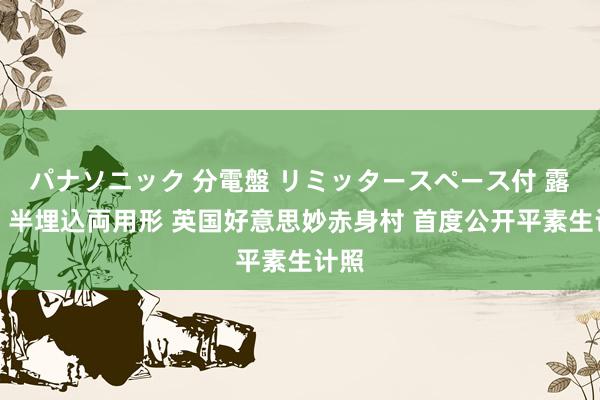 パナソニック 分電盤 リミッタースペース付 露出・半埋込両用形 英国好意思妙赤身村 首度公开平素生计照