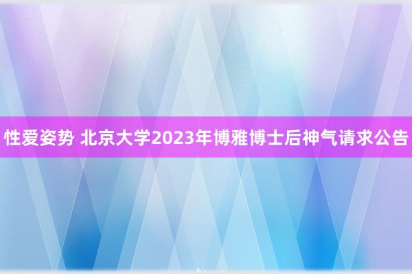 性爱姿势 北京大学2023年博雅博士后神气请求公告